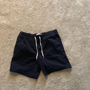 PacSun Volley Shorts